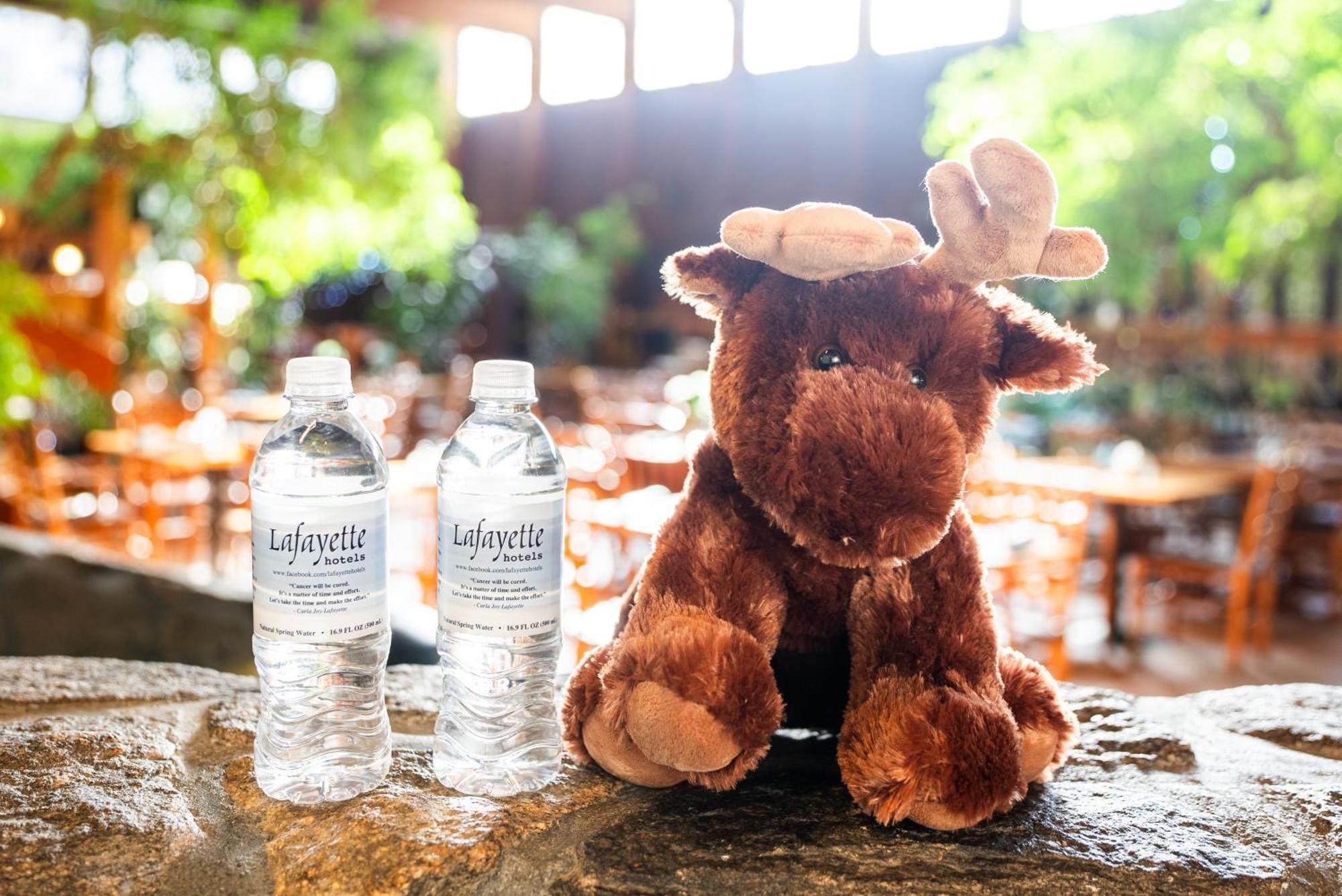 Fireside Inn & Suites West Lebanon Eksteriør bilde